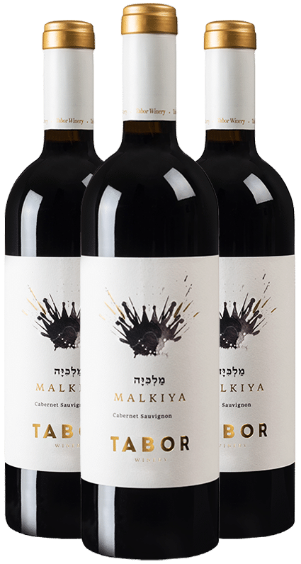 שלישיית תבור מלכיה 2016